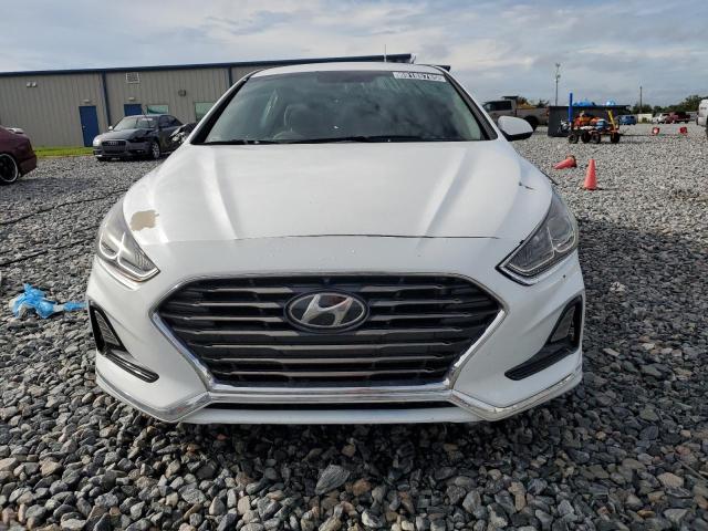 5NPE24AF6KH817456 - 2019 HYUNDAI SONATA SE 白色 照片 5