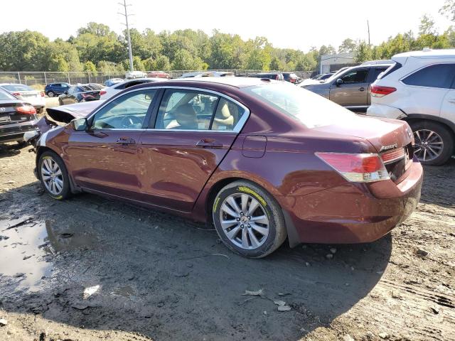 1HGCP2F87BA008046 - 2011 HONDA ACCORD EXL BURGUNDY photo 2