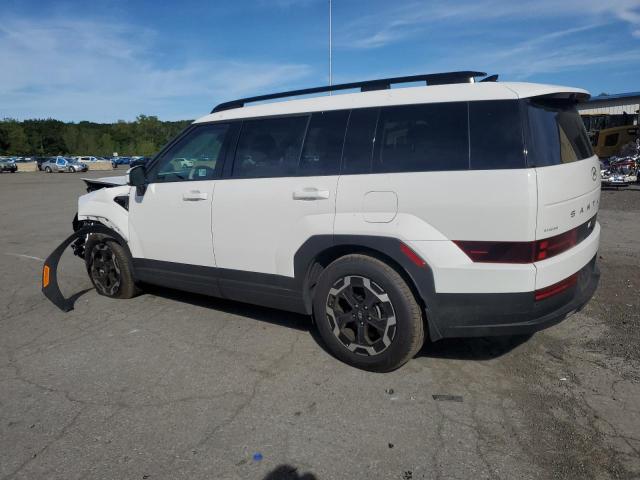 5NMP2DGL0SH070696 - 2025 HYUNDAI SANTA FE SEL Ağ foto 2