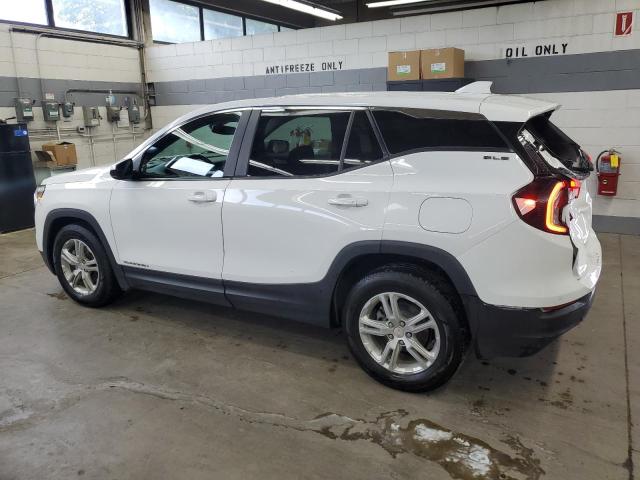 3GKALMEG6PL171524 - 2023 GMC TERRAIN SLE 白色 照片 2