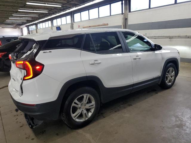3GKALMEG6PL171524 - 2023 GMC TERRAIN SLE 白色 照片 3