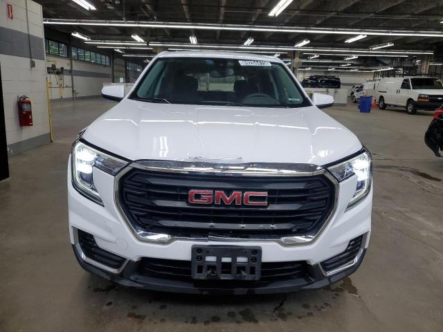 3GKALMEG6PL171524 - 2023 GMC TERRAIN SLE 白色 照片 5