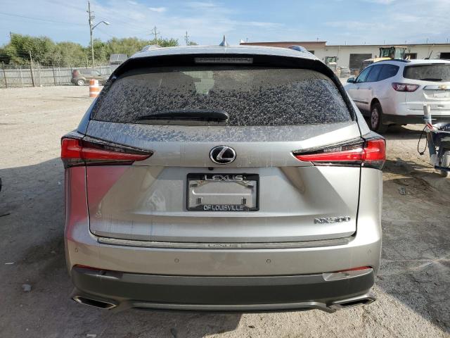 JTJBARBZ8J2168008 - 2018 LEXUS NX 300 BASE Gümüş foto 6