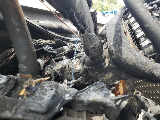 1FUJHTDV5MLMM8364 - 2021 FREIGHTLINER CASCADIA 1 绿色 照片 8