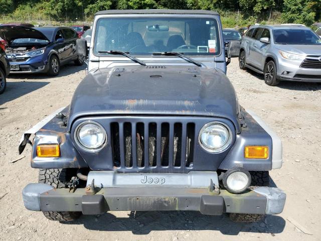 1J4FA49S41P352844 - 2001 JEEP WRANGLER / SPORT GRAY photo 5