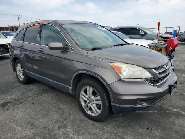 5J6RE4H71AL018034 - 2010 HONDA CR-V EXL GRAY photo 4