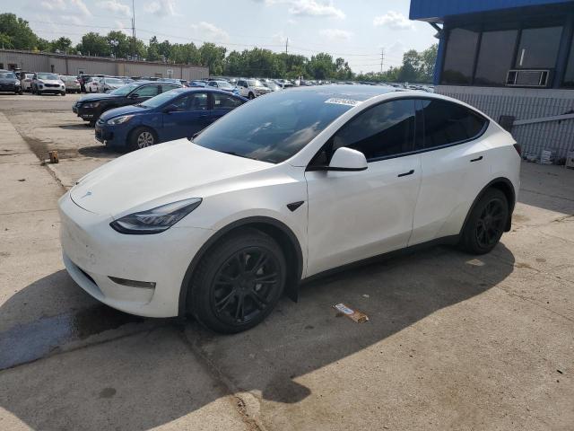 2023 TESLA MODEL Y, 