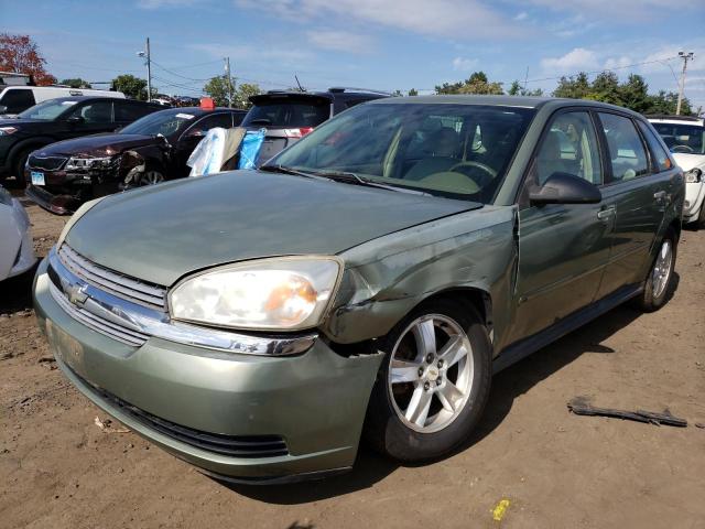 1G1ZT62865F309151 - 2005 CHEVROLET MALIBU MAXX LS GREEN photo 1