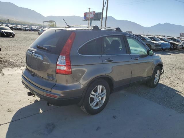 5J6RE4H71AL062552 - 2010 HONDA CR-V EXL GRAY photo 3