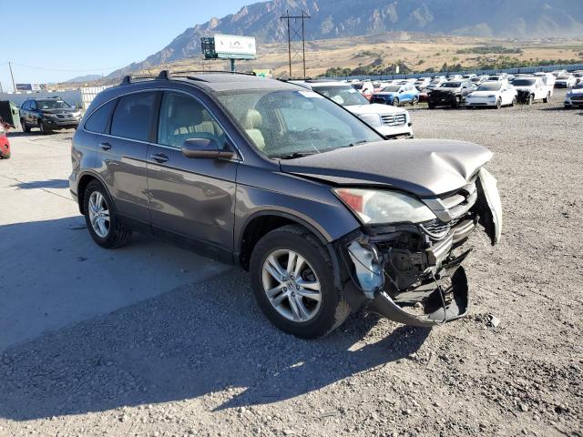 5J6RE4H71AL062552 - 2010 HONDA CR-V EXL GRAY photo 4