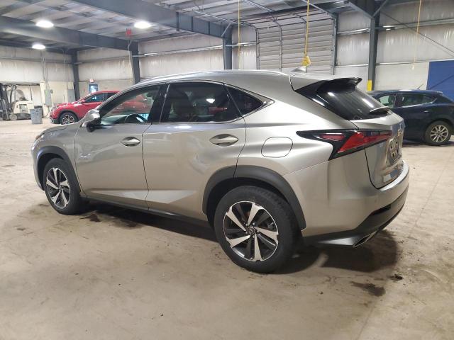 JTJBARBZ1K2199358 - 2019 LEXUS NX 300 BASE GRAY photo 2