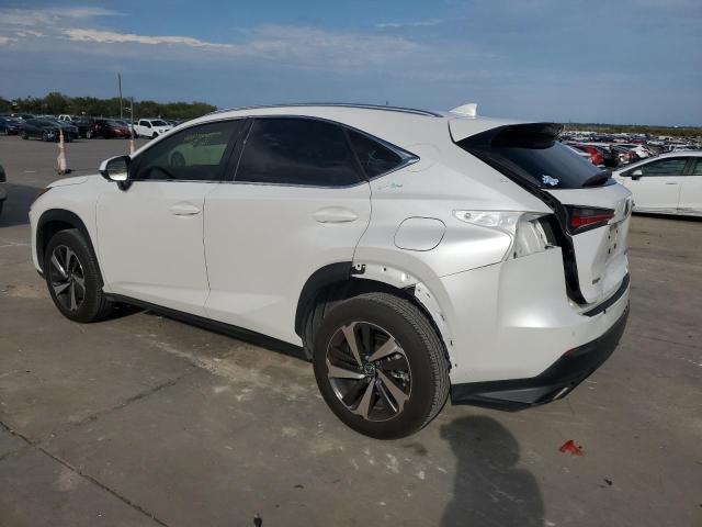 JTJGARBZ6M5029858 - 2021 LEXUS NX 300 BASE Ağ foto 2