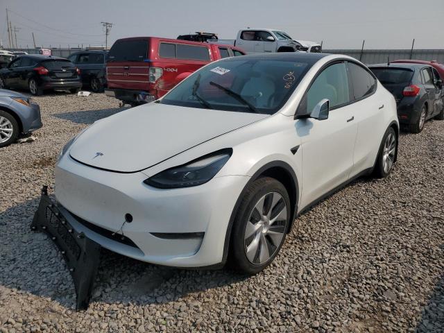 2023 TESLA MODEL Y, 