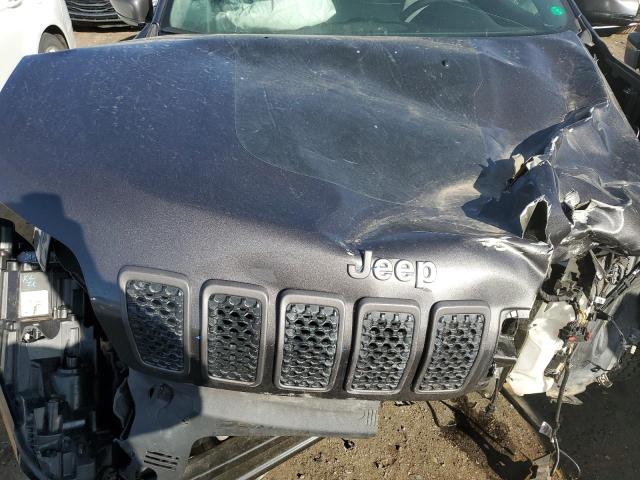 1C4PJMBX5KD471473 - 2019 JEEP CHEROKEE TRAILHAWK GRAY photo 11