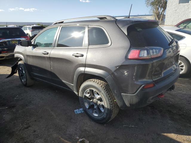 1C4PJMBX5KD471473 - 2019 JEEP CHEROKEE TRAILHAWK GRAY photo 2