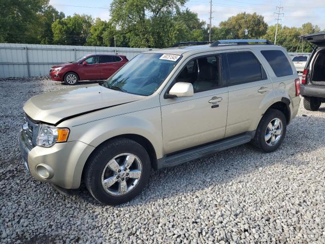 2010 FORD ESCAPE LIMITED, 