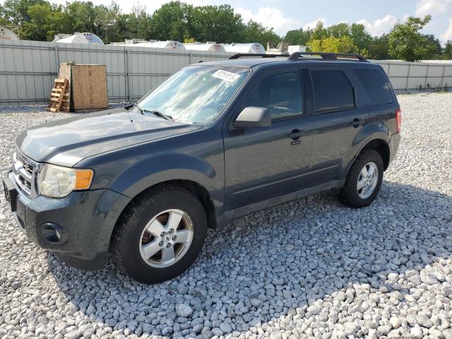 2009 FORD ESCAPE XLT, 