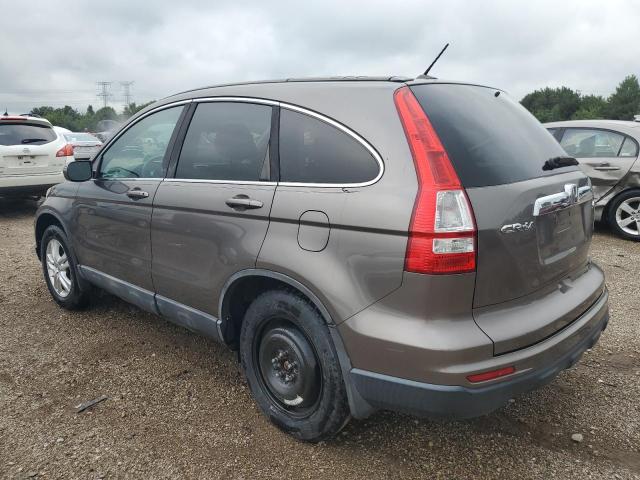 5J6RE4H76AL001830 - 2010 HONDA CR-V EXL CHARCOAL photo 2