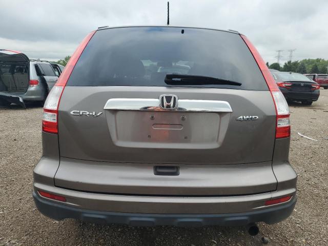 5J6RE4H76AL001830 - 2010 HONDA CR-V EXL CHARCOAL photo 6