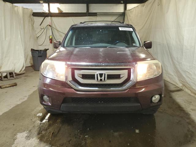 5FNYF4H57AB005529 - 2010 HONDA PILOT EXL 勃艮第红 照片 5