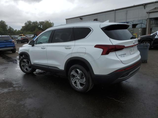 5NMS2DAJ5PH485621 - 2023 HYUNDAI SANTA FE SEL Սպիտակ լուսանկար 2
