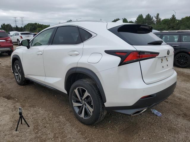 JTJGARDZ7M5024343 - 2021 LEXUS NX 300 BASE თეთრი ფოტო 2