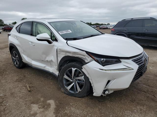 JTJGARDZ7M5024343 - 2021 LEXUS NX 300 BASE თეთრი ფოტო 4