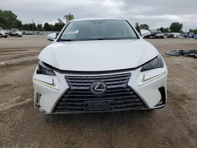 JTJGARDZ7M5024343 - 2021 LEXUS NX 300 BASE თეთრი ფოტო 5