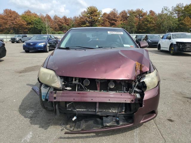 JTKDE167260105105 - 2006 TOYOTA SCION TC 勃艮第红 照片 5