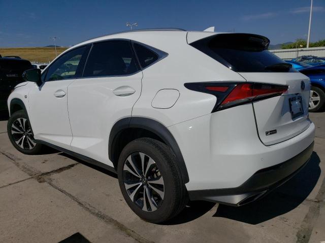 JTJBARBZ1K2186948 - 2019 LEXUS NX 300 BASE WHITE photo 2