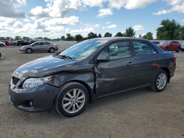 2010 TOYOTA COROLLA BASE, 