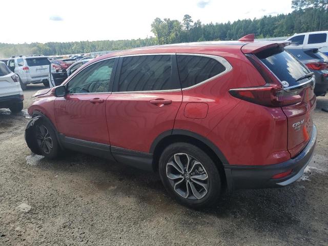 5J6RW1H53MA005568 - 2021 HONDA CR-V EX BURGUNDY photo 2