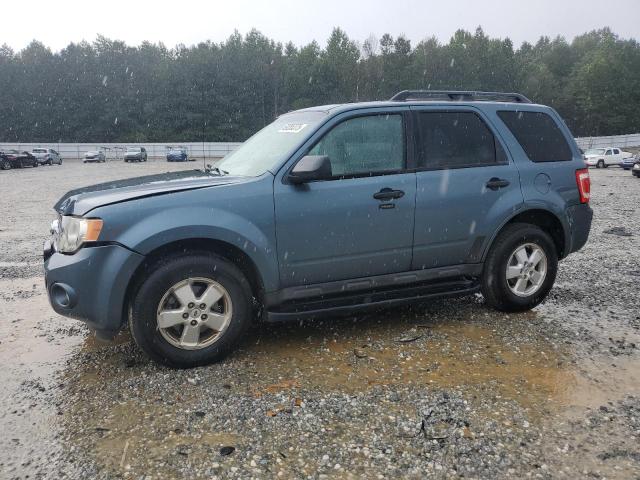 2010 FORD ESCAPE XLT, 