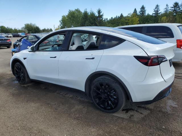 7SAYGDEE1PF709982 - 2023 TESLA MODEL Y Biały zdjęcie 2