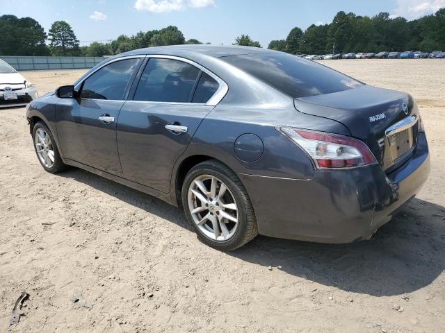 1N4AA5AP6DC800161 - 2013 NISSAN MAXIMA S ნაცრისფერი ფოტო 2