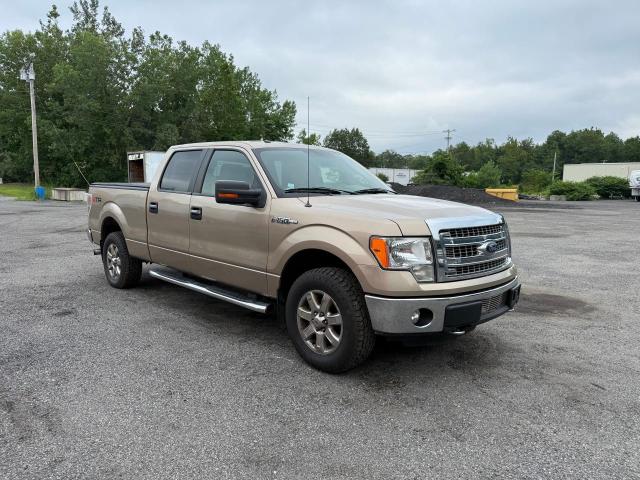 2013 FORD F150 SUPERCREW, null