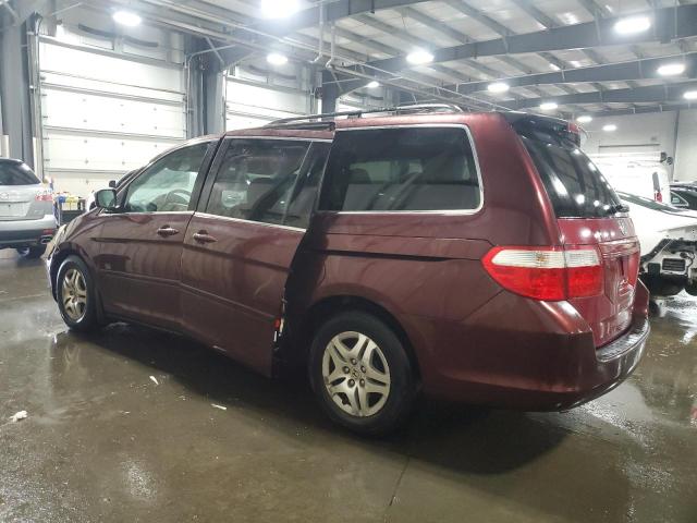 5FNRL38767B453777 - 2007 HONDA ODYSSEY EXL 栗色 照片 2
