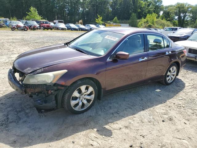 2010 HONDA ACCORD EXL, 