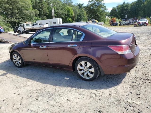 5KBCP3F81AB012184 - 2010 HONDA ACCORD EXL MAROON photo 2
