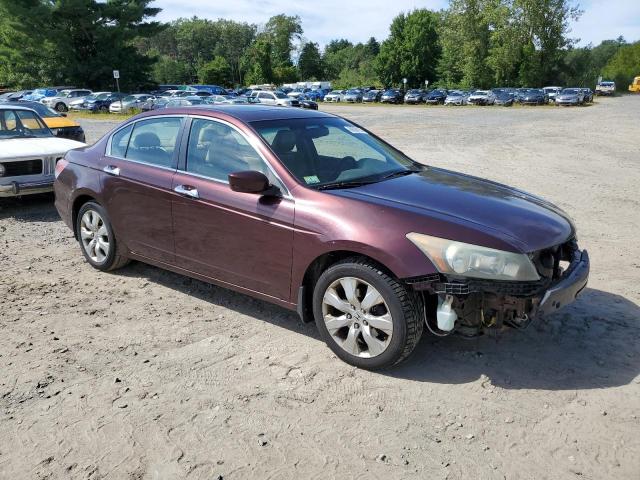 5KBCP3F81AB012184 - 2010 HONDA ACCORD EXL MAROON photo 4