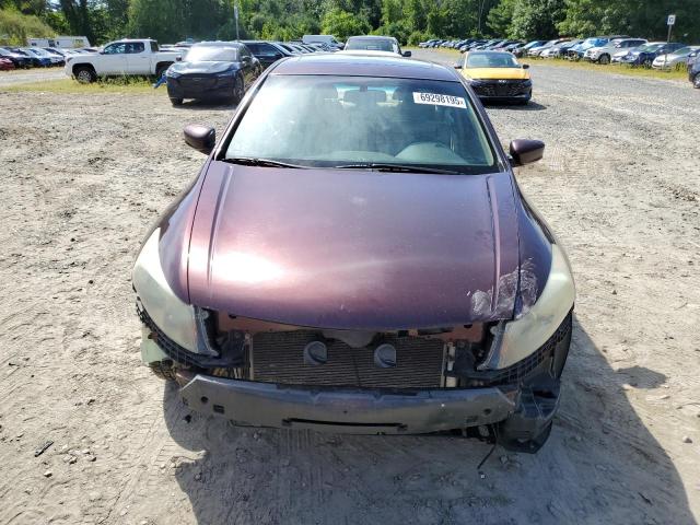 5KBCP3F81AB012184 - 2010 HONDA ACCORD EXL MAROON photo 5