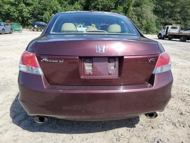5KBCP3F81AB012184 - 2010 HONDA ACCORD EXL MAROON photo 6