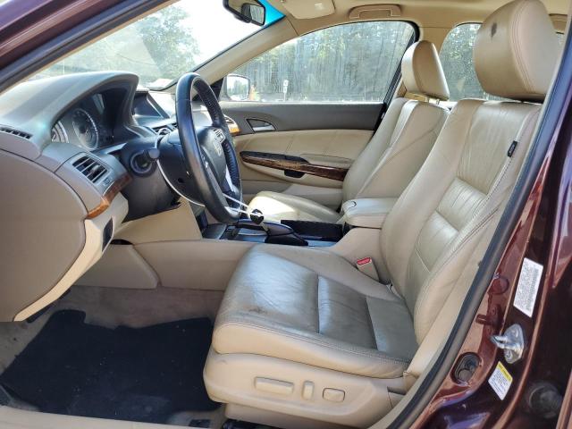 5KBCP3F81AB012184 - 2010 HONDA ACCORD EXL MAROON photo 7