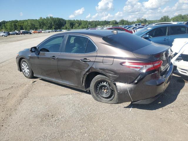 4T1B31HKXJU502113 - 2018 TOYOTA CAMRY LE 棕色 照片 2