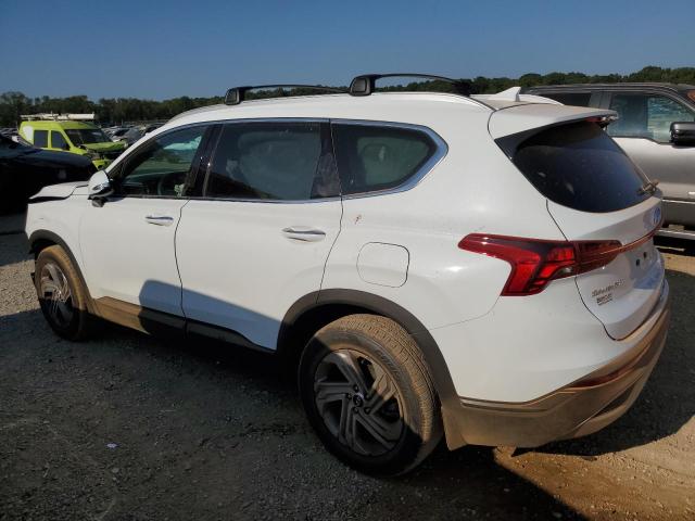 5NMS24AJ1PH570276 - 2023 HYUNDAI SANTA FE SEL WHITE photo 2