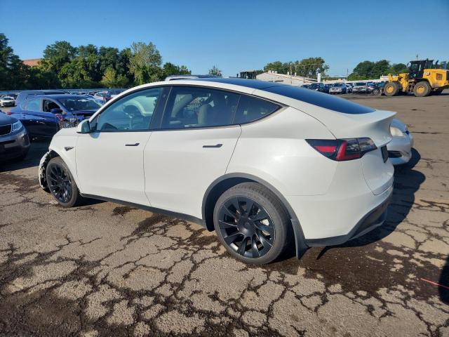 5YJYGDEE3MF243156 - 2021 TESLA MODEL Y 白色 照片 2