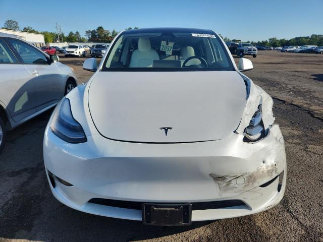 5YJYGDEE3MF243156 - 2021 TESLA MODEL Y 白色 照片 5