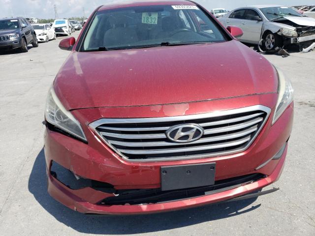 5NPE24AF3GH367806 - 2016 HYUNDAI 145LCR-9 SE BURGUNDY photo 5