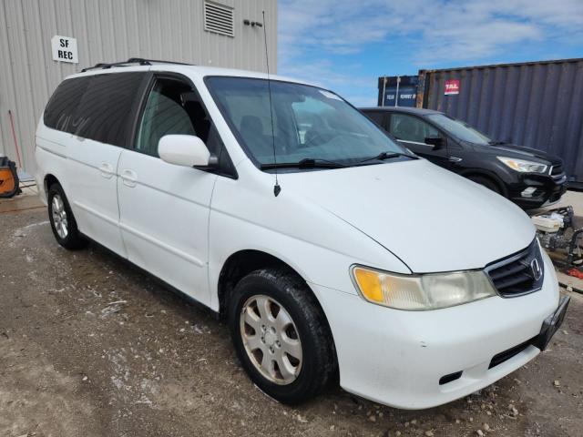 5FNRL18633B072085 - 2003 HONDA ODYSSEY EX WHITE photo 4