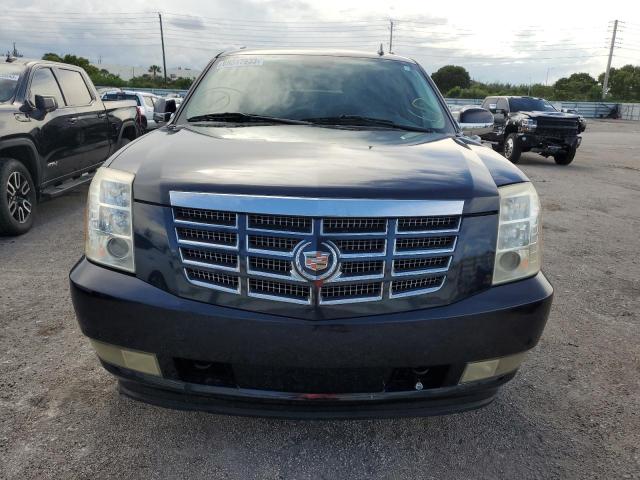 1GYFC26289R227381 - 2009 CADILLAC ESCALADE ESV LUXURY BLUE photo 5